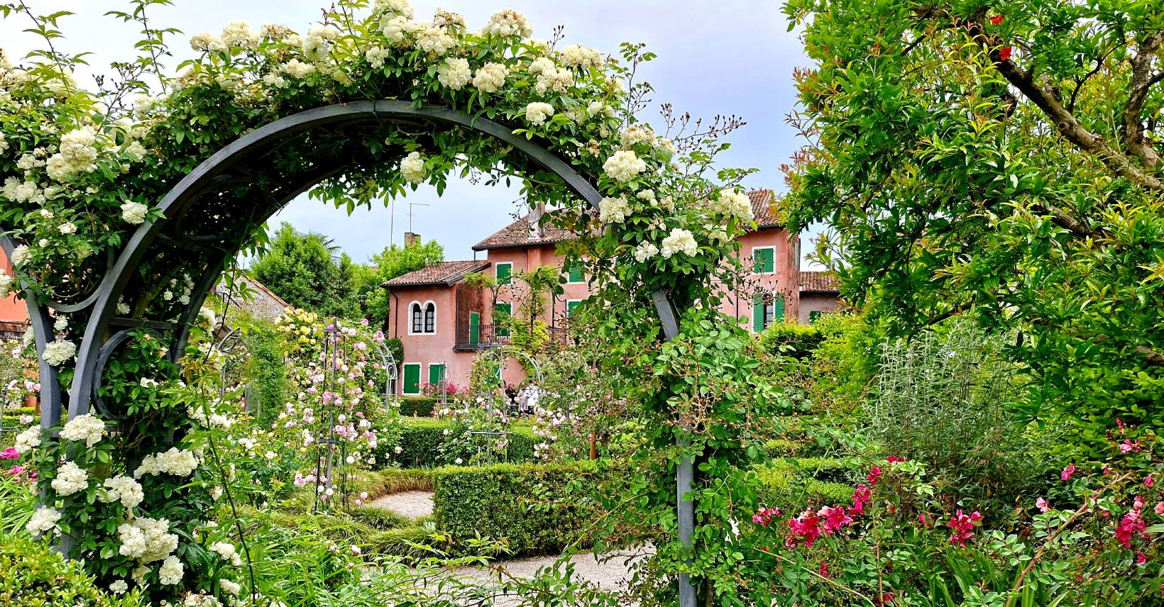 Розы в парке Giardino all'italiana Burovich в Sesto al Reghena
