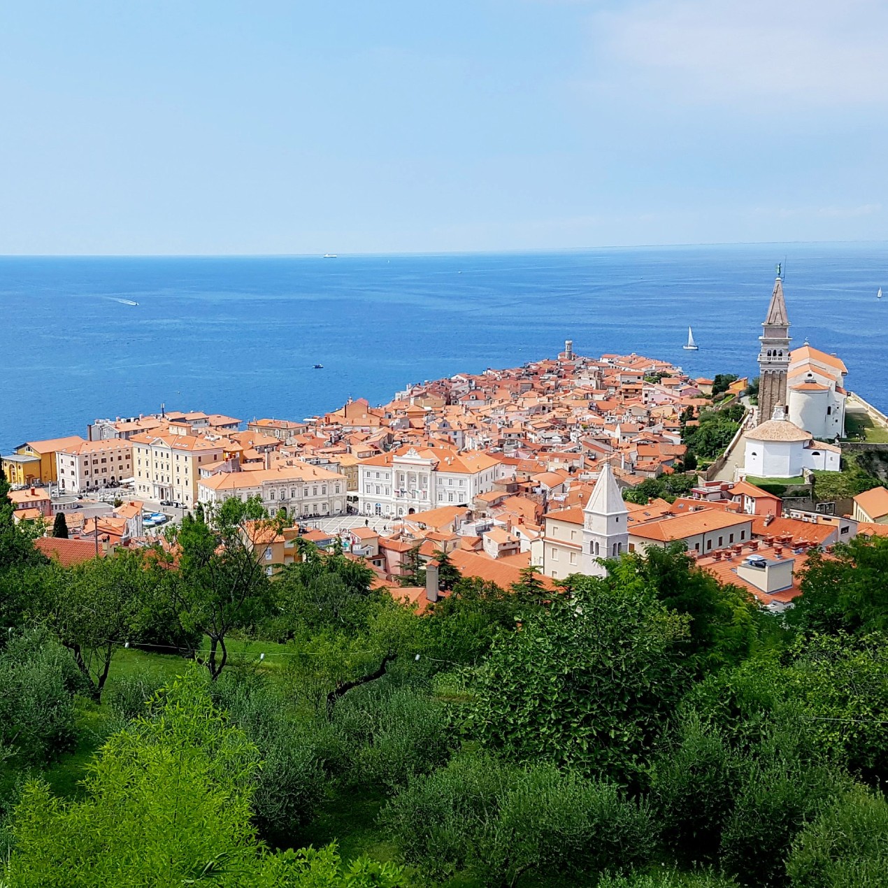Вид на Пиран с крепостной стены замка
