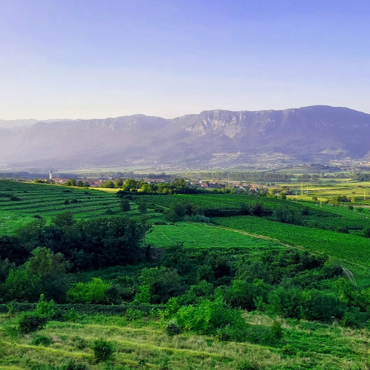 Випавская долина